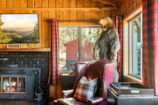 Hygge Frosk - Big Bear Lake - 3