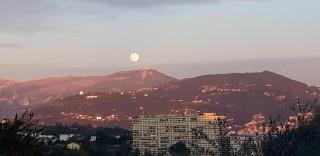 Chez Roland - Nice - 1