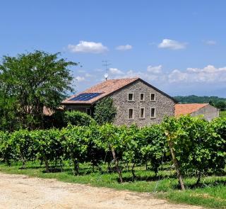 Seiterre Agriturismo Tenuta San Leone - Valeggio sul Mincio - 9