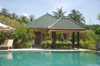 Poinciana Resort - Tejakula - 4