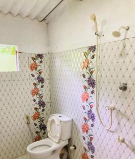 Mangroves homestay - 5