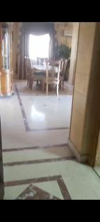 شقه للايجار مفروشه 260 م شارع جامعة الدول العربية الرئيسي المهندسين - Il Cairo - 8