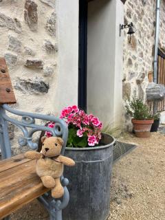 Gîte à l'ombre des Magnolias - 3