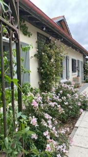 La Bastide de Guiche Entre Océan et montagnes - Guiche - 9