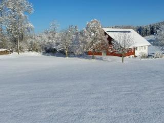 Allgäu Bergblick - 8