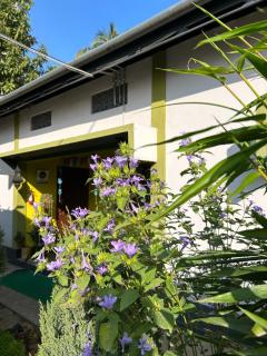 Stargaze Backpackers Hostel - Guwahati - 7