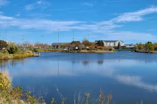Balmoral Cove - Unit A - Ocean City - 5