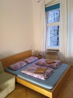 Comfy apartments in good area - Prague - 0