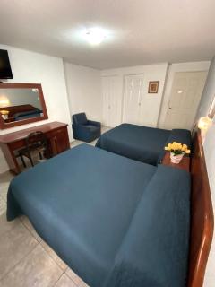 Hotel Qualitel Plus - Morelia - 8