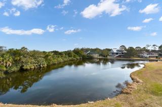 Blue Heron - Harrington - 2