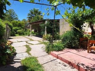 Casa Martin - Ciudad Lujan de Cuyo - 4