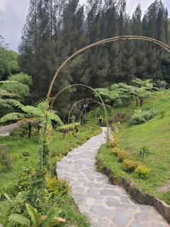 Villa Higland No 7 P Berastagi View - 2