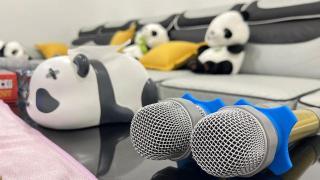 PandaHomestay28 - Skudai - 2
