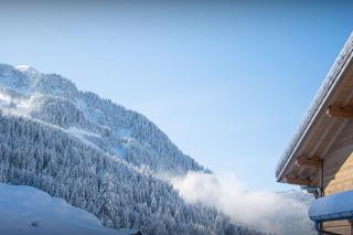 Chalet Alphonse - OVO Network - Châtel - 5