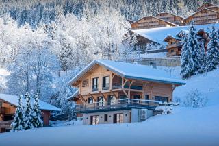Chalet Alphonse - OVO Network - Châtel - 0