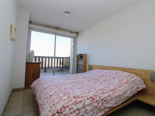 Saint Cyprien : Appartement T3 avec Toit Terrasse, Piscine et Accès Direct à la Plage - FR-1-309-357 - 2