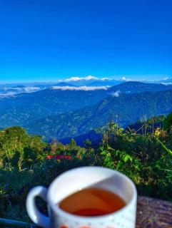 Penginapan sweety homestays - 9