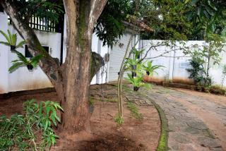 Senasuma Family Rest - Anuradhapura - 8