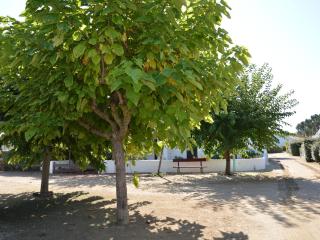 Maison charmante, moderne, proche plage, jardin privé, parking, Saint Jean de Monts - FR-1-323-433 - Saint-Jean-de-Monts - 5