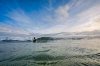 South Harbour 2A - 9