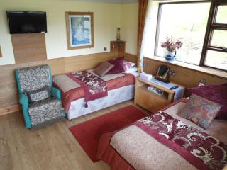 Kylemore Pass Hotel - Letterfrack - 6