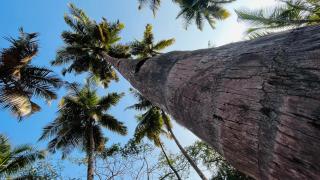 LAKSHDEEP COTTAGES - 1