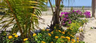 Villa Nature - Toliara - 9