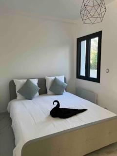 Villa contemporaine près des gorges de l’Ardèche - 4