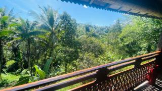 Jungle Villa with Panoramic View - Ubud - 9