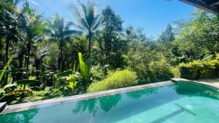 Jungle Villa with Panoramic View - Ubud - 1