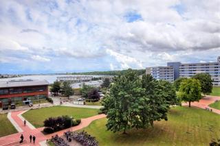 Ferienpark - Haus C, App 0C0512 - Heiligenhafen - 9