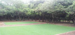 Yaar Odem Resort - כפר נופש יער אודם - 5