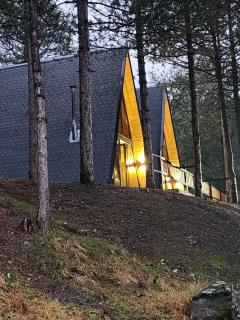 Vilat Alpine Golden Gjinar - Elbasan - 2