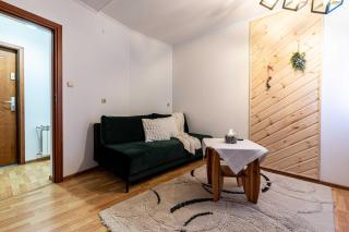 Aparteo Apartament Brzegi - Zakopane - 7