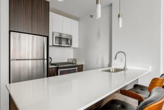 Loop studio w roof deck nr michigan ave CHI-1014 - 3