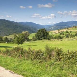 Agréable maison de village avec balcon - Roiffieux - 2