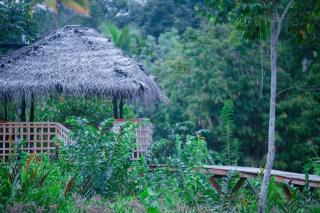 The Glade - Weligama - 4