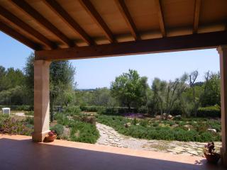 Can Bernat - Son Servera - 3