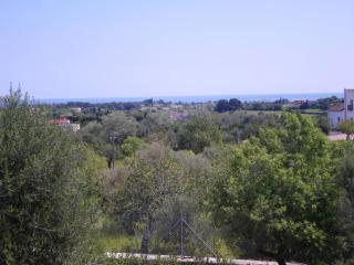 Can Bernat - Son Servera - 2