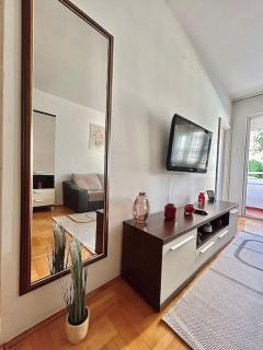 Cozy, charming one bedroom apt - Podgorica - 4