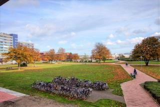 Ferienpark - Haus H, App 0H0102 - Heiligenhafen - 9