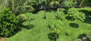 Shimba Springs Bustani (Malindi) - Sinoia - 7