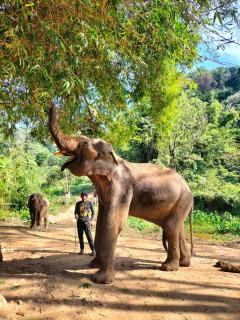 Chiang Rai Airport Homestay - 2