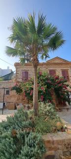 Garden of Chios - Mosaic - Quios - 0
