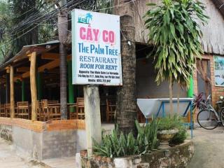The Palm Tree Guesthouse - Phú Quốc - 1