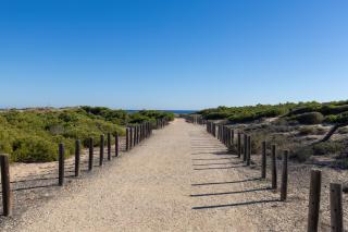 Coral SeaShell by Fidalsa - La Mata - 2