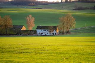 Bühberg Alm - Blümchen - 8