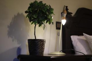 loft d'exception à Gauthier - Casablanca - 7