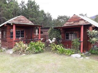 Tsitsikamma Wolf Sanctuary ECO Cabins & Teepees - Stormsriviermond - 5
