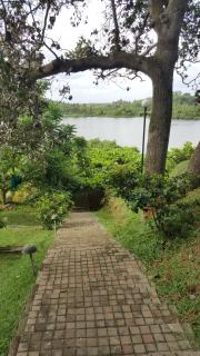 Anugaa by the river Bolgoda - Bolgoda - 5